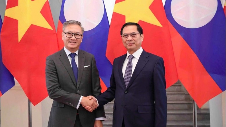 Laos, Vietnam deepen diplomatic ties with high-level talks